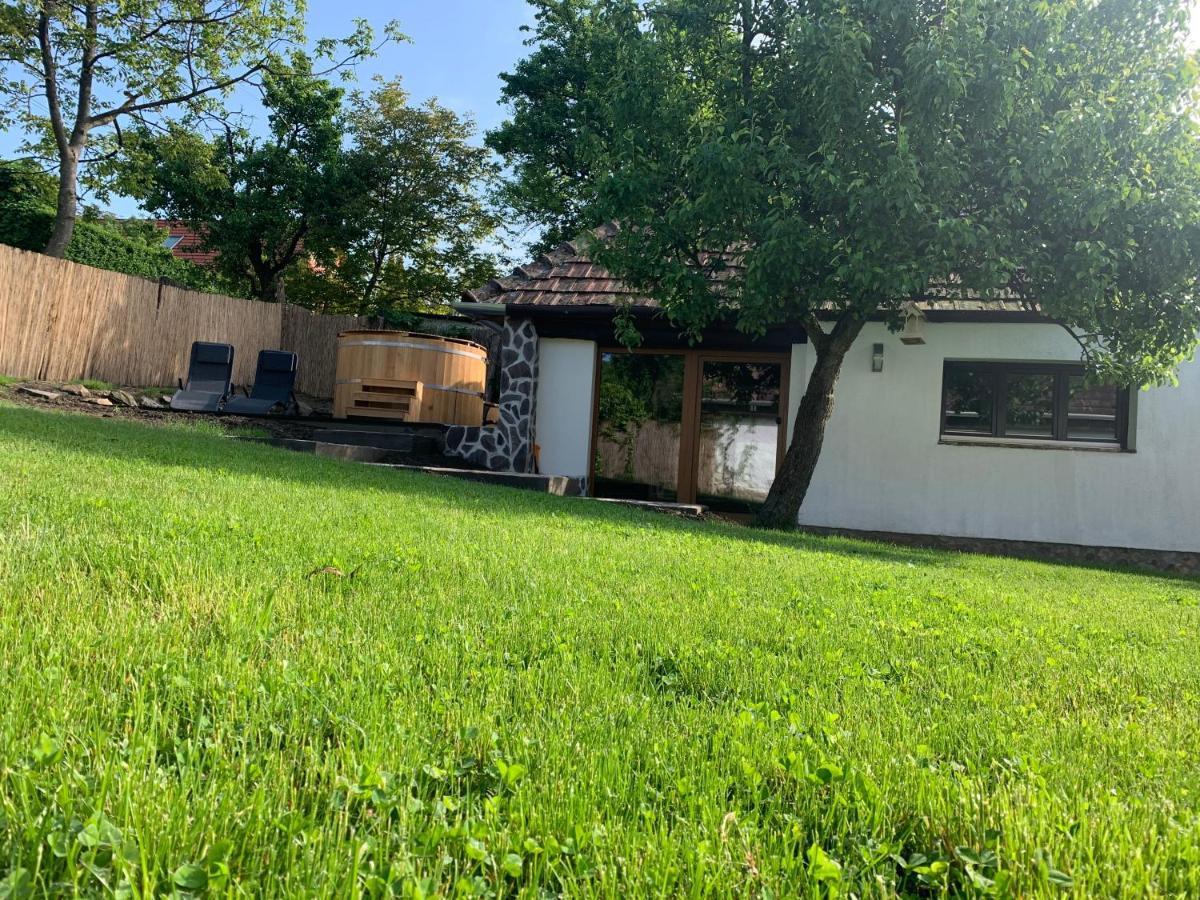 Rakoczi12 Vendeghaz Villa Holloko Luaran gambar